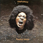 Funkadelic - Maggot Brain